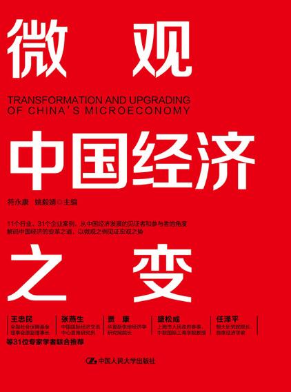 微观中国经济之变